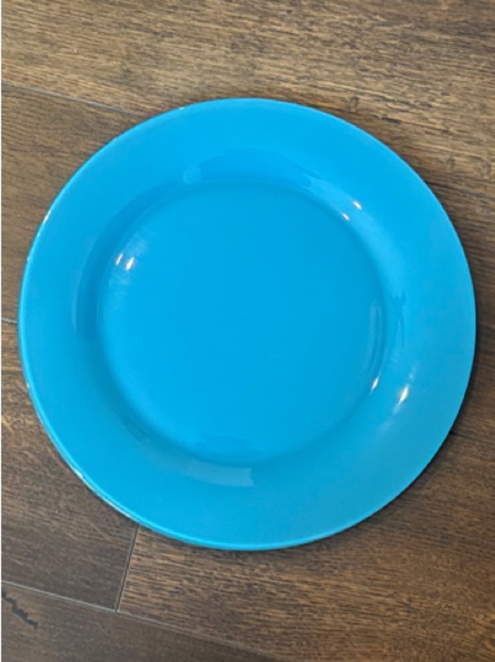 Blue Dinner Plate (set of 5)
